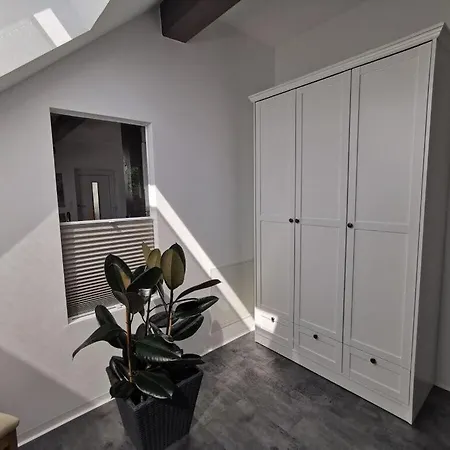 Skyline Deluxe Floor בית נופש דורנבירן